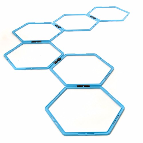 AGILITY LADDER HEX SET OF SIX RINGS